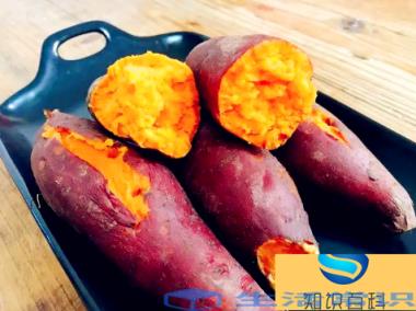 空气炸锅烤地瓜200度烤多少分钟