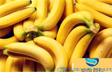 香蕉可以治胃酸吗