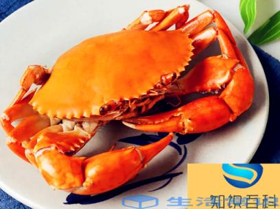 青蟹蒸之前要怎么处理
