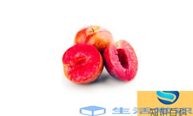 三华李的功效与作用