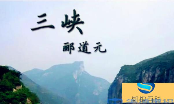 属引凄异的属代表什么意思