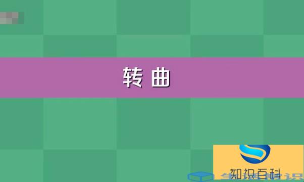 转曲是什么意思