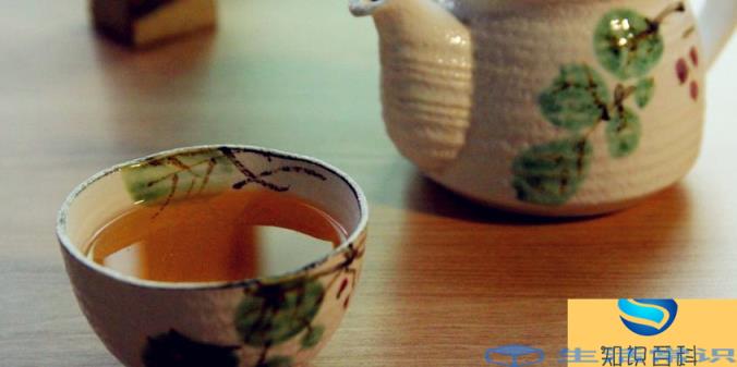 普洱茶属于什么茶
