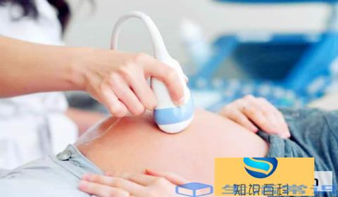 孕妇检查费用报销吗为什么