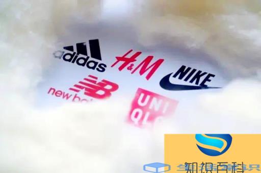 新疆棉花涉及的运动品牌，辱华的鞋子品牌有哪些