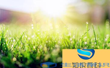 北京的冬天从什么时候开始 2022北京的冬天什么时候开始冷