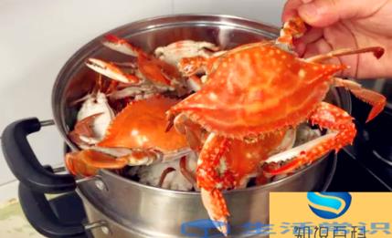 死梭子蟹吃了会有什么后果