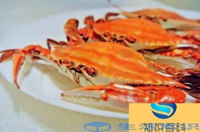 梭子蟹除了腮还有什么不能吃