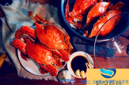 梭子蟹青壳还是黄壳好?有什么不一样吗