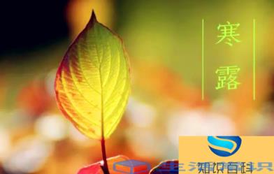 寒露是昼短夜长吗