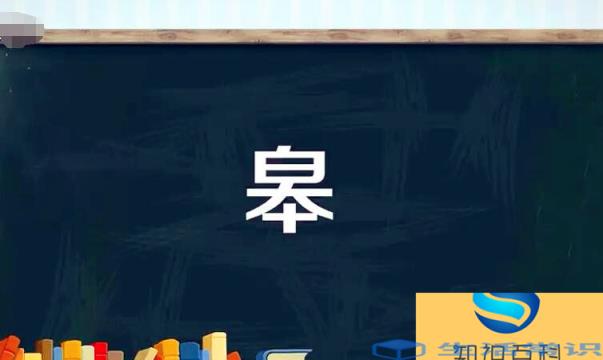 上面一个白下面一个本是什么字