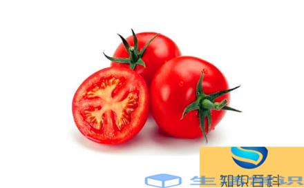 爱吃西红柿是缺维生素吗