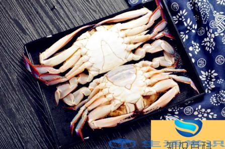 梭子蟹青壳还是黄壳好？有什么不一样吗