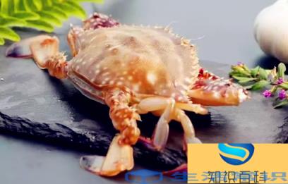 冷冻梭子蟹怎么解冻肉质好