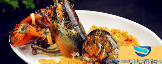 清蒸澳洲龙虾窍门 澳洲龙虾的营养价值