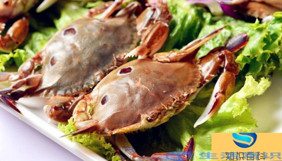 螃蟹吃什么食物好养活 小螃蟹吃什么食物