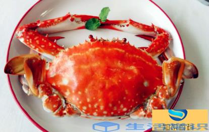 蒸螃蟹黄稀苦怎么回事