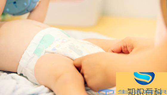 中 国尿不湿排行榜10强 中国尿不湿排行榜10强有哪些