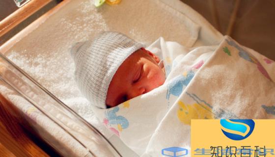 中 国尿不湿排行榜10强 中国尿不湿排行榜10强有哪些