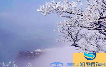 2022数九从哪一天开始到哪一天结束