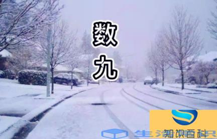 2022数九从哪一天开始到哪一天结束