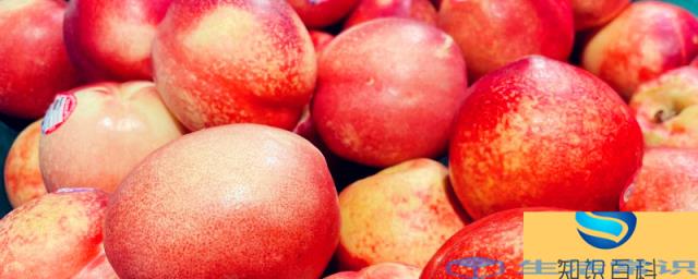 油桃和李子有什么区别 油桃和李子的区别