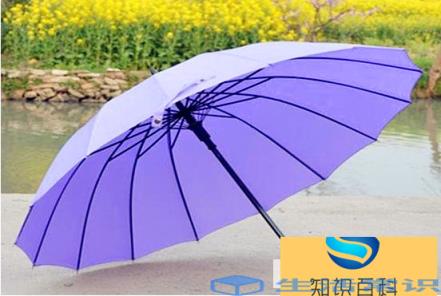 雨伞去污小诀窍