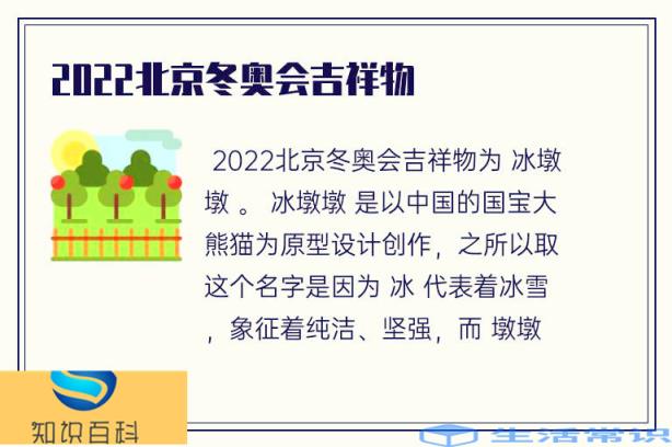 2022年北京冬奥会吉祥物冰墩墩
