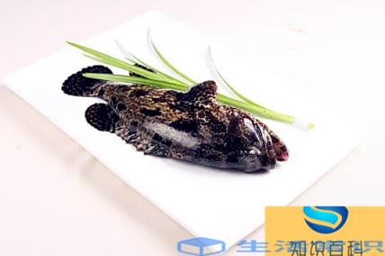 什么是深海鱼都包括什么鱼