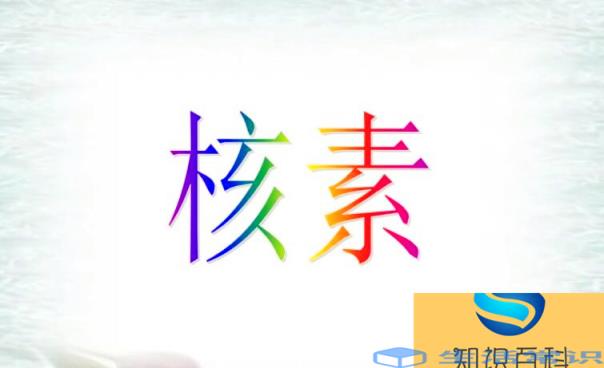 核素是什么