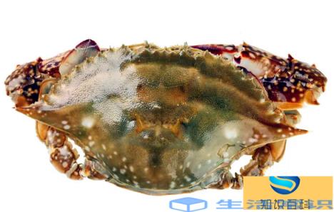 梭子蟹可以寄顺丰快递吗