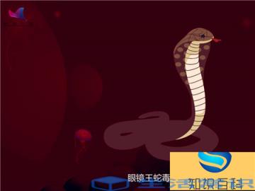 银环蛇是中国的第一最毒的蛇,毒副作用特别强,不小心被他们咬到