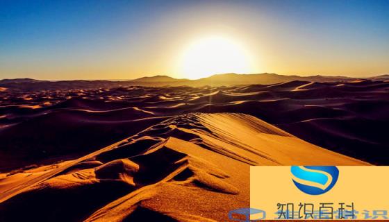 世界上面积最大的沙漠是哪个 沙漠的气候如何