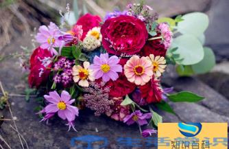 入宅不能买什么鲜花