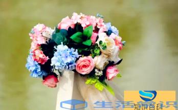 入宅不能买什么鲜花
