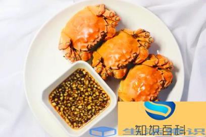 螃蟹蘸料的做法和配方 螃蟹蘸料怎么调好吃又简单
