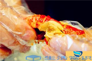小龙虾是虾还是虫子（小龙虾生长环境很脏吗）