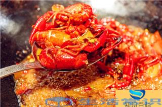 小龙虾是虾还是虫子（小龙虾生长环境很脏吗）