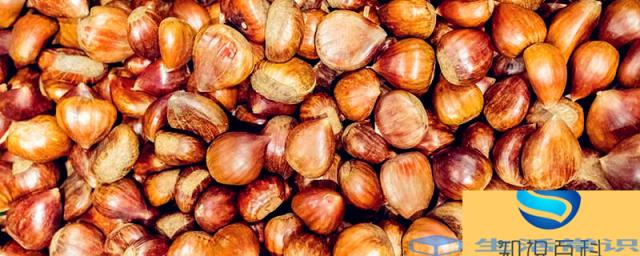 种子的传播方法 种子有哪些传播方法