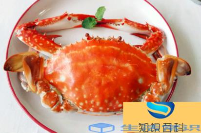 怎么看梭子蟹蒸熟了没有
