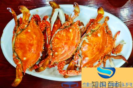 怎么看梭子蟹蒸熟了没有