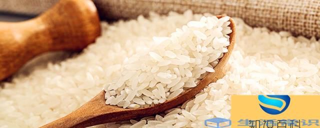 小米和大米哪个热量高 小米和大米谁热量高