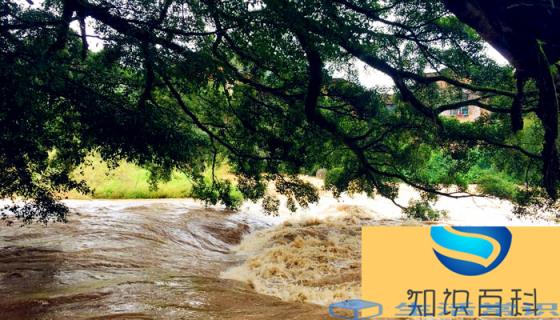 山体滑坡和水灾是一样的吗 山体滑坡来啦如何脱险