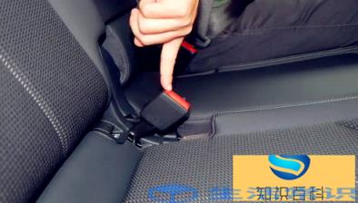 安全带能够卸下来洗吗