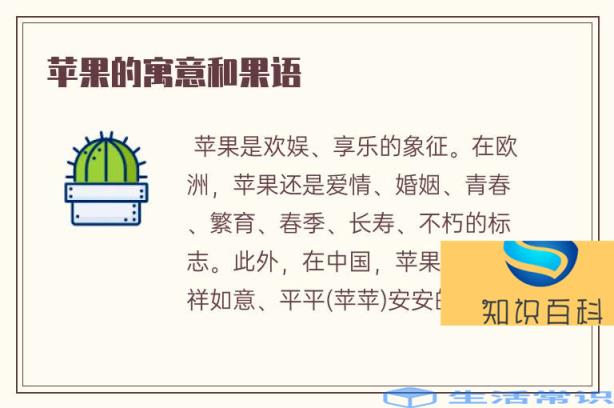 苹果的寓意和果语
