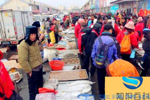 王哥庄大馒头是怎么选面粉的 加工工艺怎么讲究