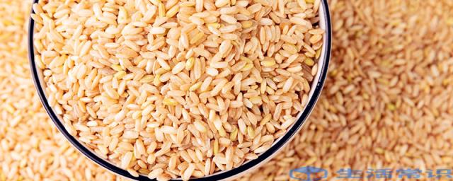 糙米是粗粮吗 糙米属于粗粮吗