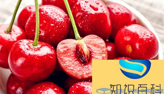 樱桃英文名字cherry