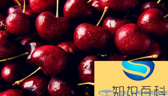 樱桃英文名字cherry