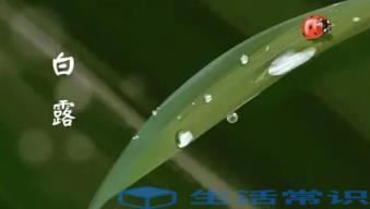 2022白露过后怎么还这么热